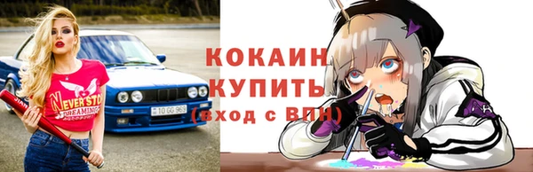 кокс Гусев