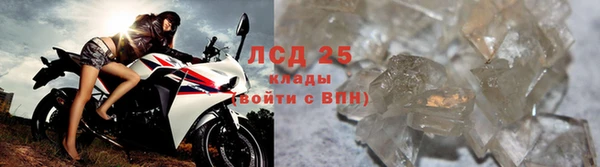 кокс Гусев