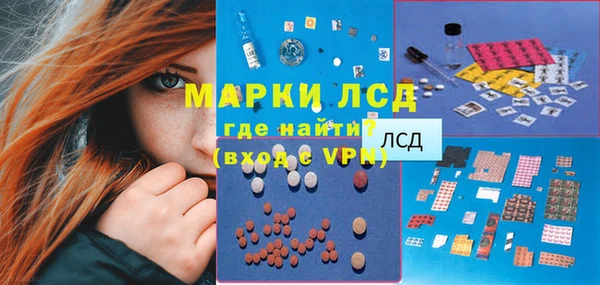 кокс Гусев